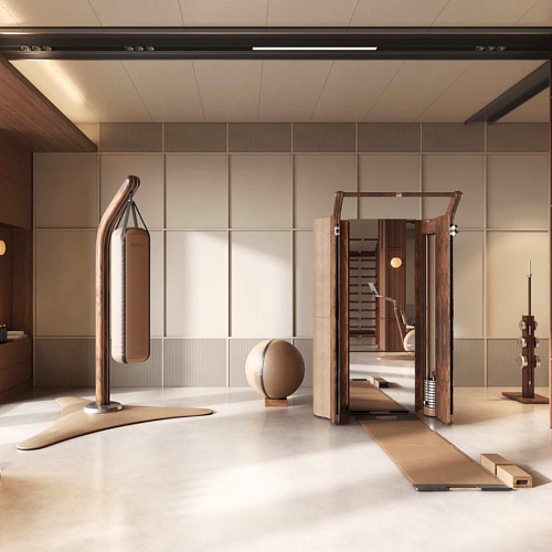 Тросовый тренажер Pent ROMA