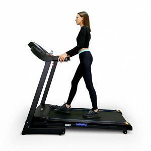 Купить Беговая дорожка Everyfit 74501B в Москве