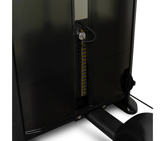 Пресс-машина Bronze Gym BLANC 19 (профессиональная) фото3