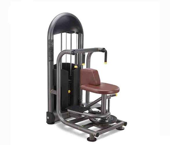 Торс-машина (скручивание торса) Oxide Fitness C016