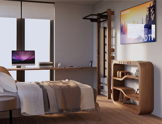 Суперкомпактная шведская стенка со встроенным турником Desire Compact Base фото2