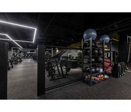 Купить Система для хранения оборудования Targex T-CUSTOM15 в Москве