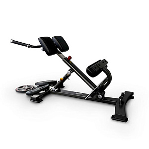 Купить Силовой тренажер Anyfit Гиперэкстензия PEB107 в Москве