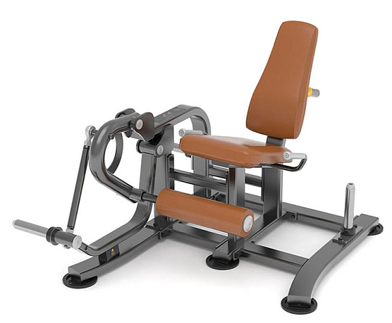 Разгибание ног на свободных весах Anyfit T05