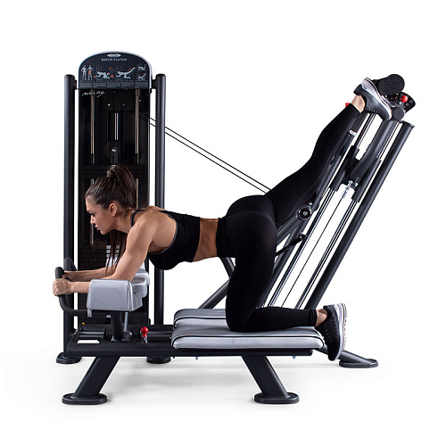 Проработка ягодичных Panatta FIT EVO 1FE094A