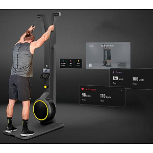 Купить Гребной тренажер Technogym Skillup  в Москве