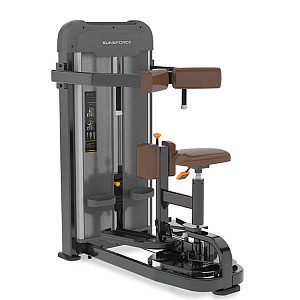 Купить Силовой тренажер Anyfit Торс машина PE303-96 в Москве