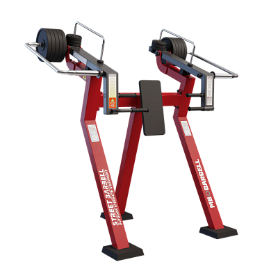 Жим вверх в положении стоя с изменяемой нагрузкой MB Barbell StreetBarbell MB 7.29E
