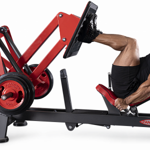 Купить Нагружаемый дисками тренажер Panatta FreeWeight Special 1FW085 в Москве