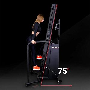 Купить Лестница Xebex CBR-02 в Москве