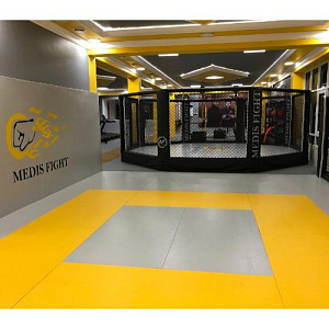 Купить Targex Октагон на помосте высотой 0,3 м в Москве