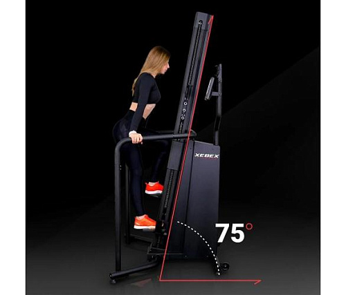 Лестница Xebex CBR-02