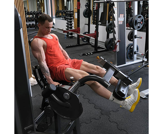 Разгибание ног Anyfit PE201-123 фото3