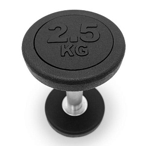 Купить Unix Fit PRO гантель круглая обрезиненная 2,5 кг / шт. в Москве