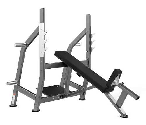 Купить Скамья для жима с положительным углом наклона Realleader FW-2002 в Москве