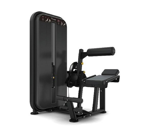 Скручивание / Разгибание спины Vision Fitness Купить Скручивание / Разгибание спины Vision Fitness в Москве