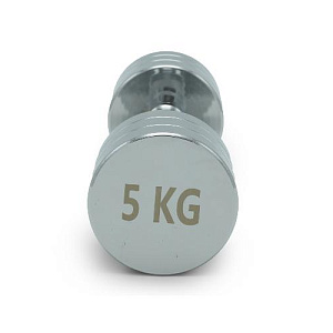 Купить Unix Fit PRO гантель круглая хромированная 5 кг / шт. в Москве