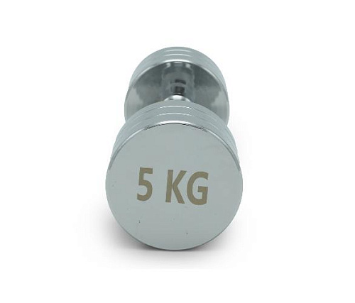 Гантель круглая хромированная Unix Fit PRO 5 кг / шт.