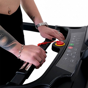 Купить Беговая дорожка Everyfit 74203B в Москве