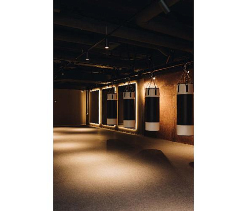 Купить Targex Боксерский мешок VINTAGE TB901 в Москве