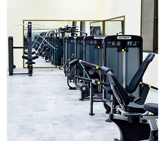 Тяга сверху (с фиксацией) Spirit Fitness SP-3522 стек 90 кг фото2