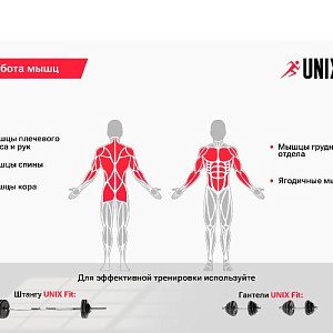 Купить Скамья Unix Fit BENCH 120M силовая со стойками в Москве
