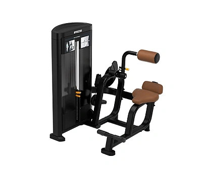 Разгибание спины Precor RSL0313