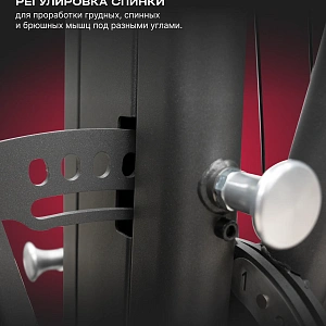 Купить Силовой комплекс полукоммерческий SVENSSON BODY LABS RIGEL PRO в Москве