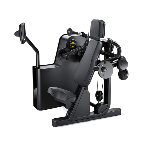 Разгибание рук Technogym Biostrength Arm Extension  Купить Разгибание рук Technogym Biostrength Arm Extension  в Москве