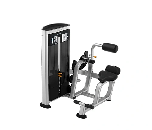Разгибание спины Precor RSL0313