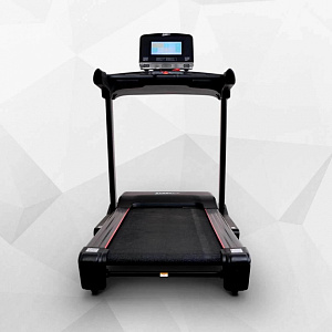 Купить Беговая дорожка Everyfit 75005LT в Москве