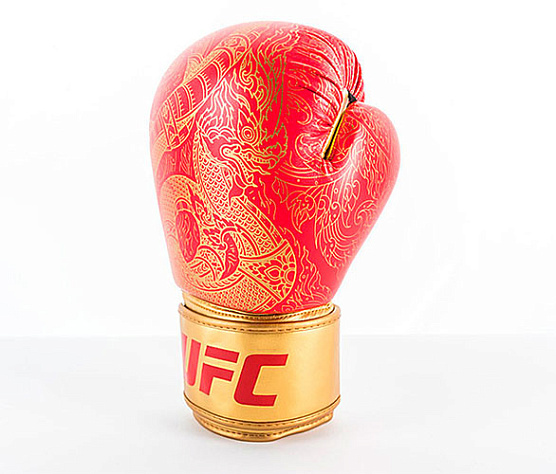 Перчатки для бокса UFC PRO Thai Naga 12 Oz красные фото3