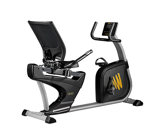 Кардиотренажер Hasttings Wega RS400 фото1