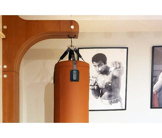 Боксерский мешок Desire Custom Box Eco из экокожи фото2