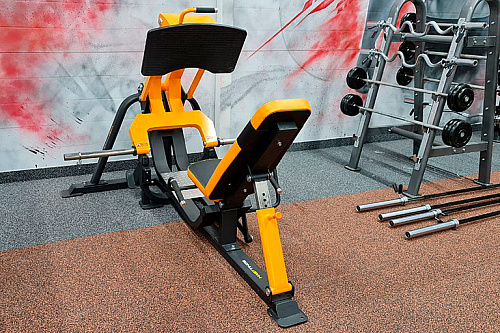 Нагружаемый дисками тренажер Hasttings Digger HD008-2