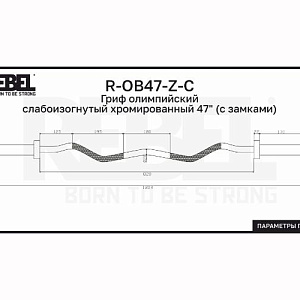 Купить Rebel Fitness Гриф олимпийский слабоизогнутый хромированный 47&quot; с замками в Москве