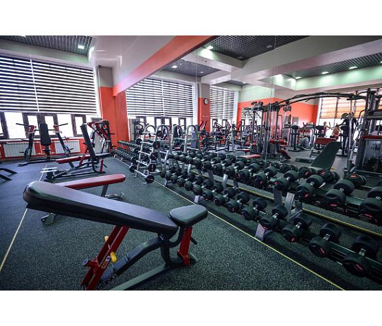Многопозиционная скамья Aerofit Impulse HSP7011 фото1