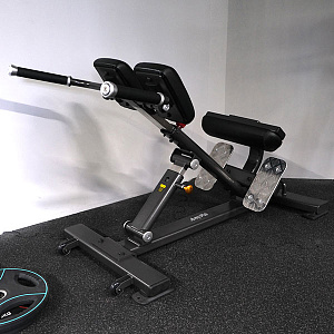Купить Силовой тренажер Anyfit Гиперэкстензия PEB107 в Москве