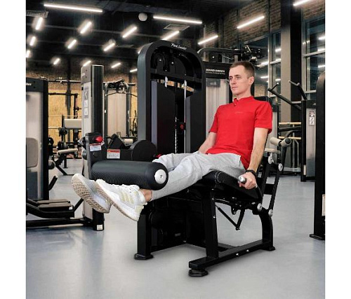 Разгибание ног сидя Realleader M2-1005