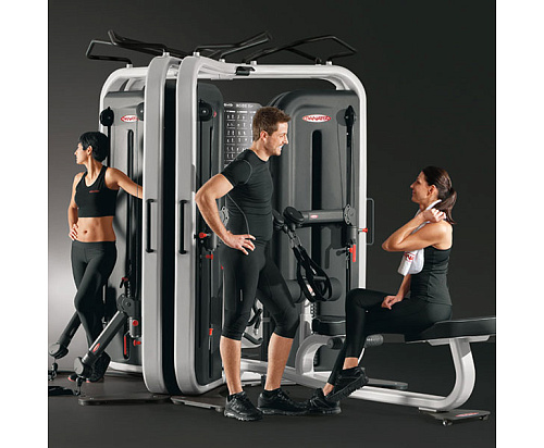 Многофункциональный тренажёр двойная регулируемая тяга DAP Panatta Inside 1IN101