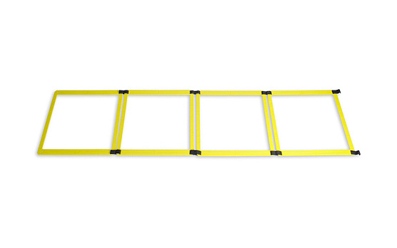 Лестница гимнастическая TRX XD