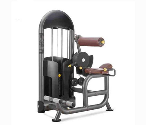 Пресс-машина Oxide Fitness C014 Купить Пресс-машина Oxide Fitness C014 в Москве