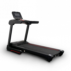 Купить Беговая дорожка Everyfit 75005LT в Москве