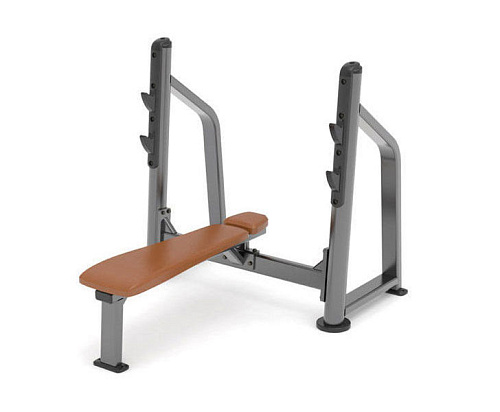 Скамья горизонтальная для жима лежа Anyfit PEB101