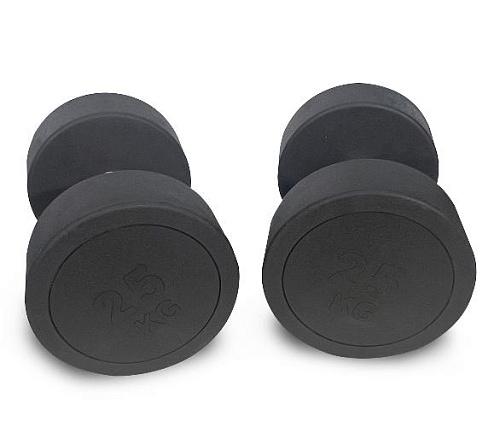 Купить Гантель круглая обрезиненная Unix Fit PRO 25 кг / шт. в Москве