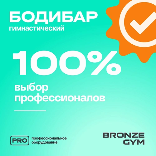 Гимнастическая палка бодибар Bronze Gym, 6 кг
