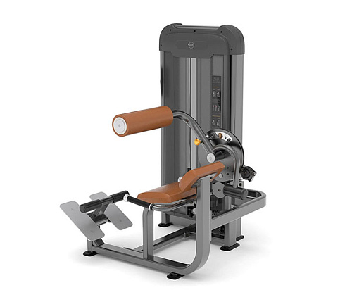 Купить Спина/пресс Anyfit PS06-66 в Москве