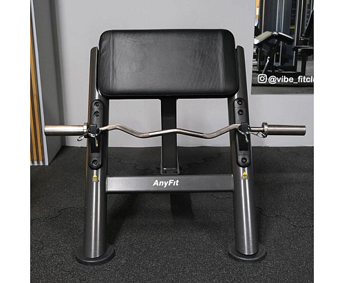 Скамья Скотта Anyfit PEB109