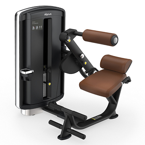 Купить Разгибание спины INTENZA DL-05 в Москве