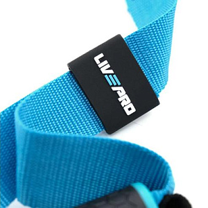 Купить Livepro Петли функциональные TRX LP8162 в Москве